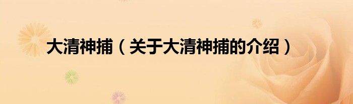 大清神捕（关于大清神捕的介绍）