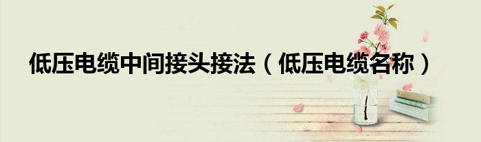 低压电缆中间接头接法（低压电缆名称）