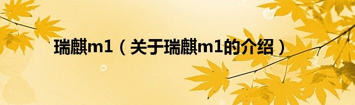瑞麒m1（关于瑞麒m1的介绍）