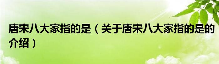 唐宋八大家指的是（关于唐宋八大家指的是的介绍）
