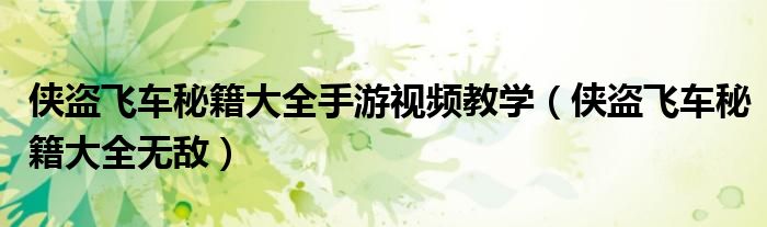 侠盗飞车秘籍大全手游视频教学（侠盗飞车秘籍大全无敌）