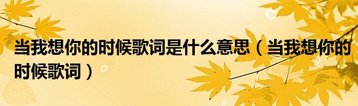 当我想你的时候歌词是什么意思（当我想你的时候歌词）