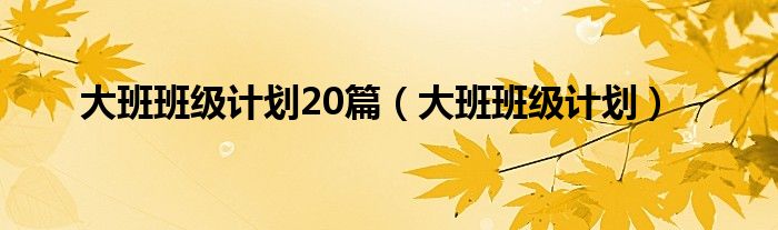 大班班级计划20篇（大班班级计划）