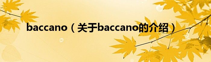 baccano（关于baccano的介绍）