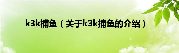 k3k捕鱼（关于k3k捕鱼的介绍）
