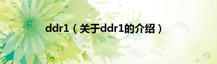 ddr1（关于ddr1的介绍）