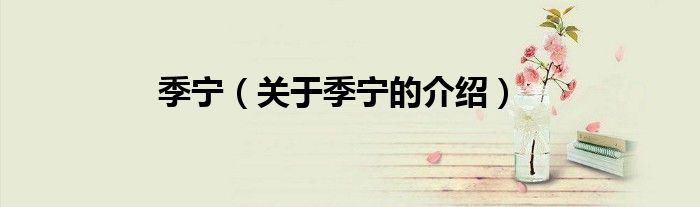季宁（关于季宁的介绍）