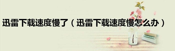 迅雷下载速度慢了（迅雷下载速度慢怎么办）
