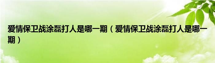 爱情保卫战涂磊打人是哪一期（爱情保卫战涂磊打人是哪一期）