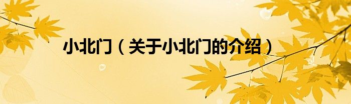 小北门（关于小北门的介绍）