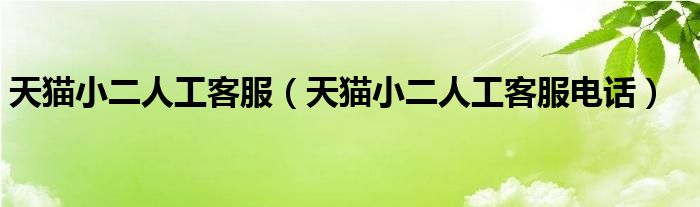 天猫小二人工客服（天猫小二人工客服电话）
