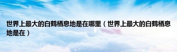 世界上最大的白鹤栖息地是在哪里（世界上最大的白鹤栖息地是在）