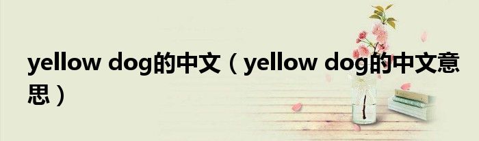 yellow dog的中文（yellow dog的中文意思）