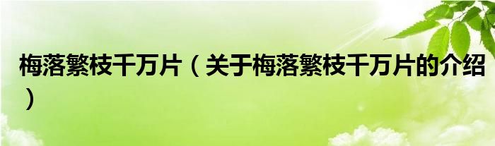 梅落繁枝千万片（关于梅落繁枝千万片的介绍）