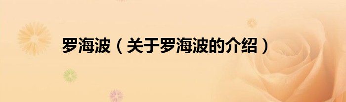 罗海波（关于罗海波的介绍）