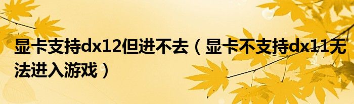 显卡支持dx12但进不去（显卡不支持dx11无法进入游戏）