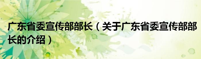 广东省委宣传部部长（关于广东省委宣传部部长的介绍）