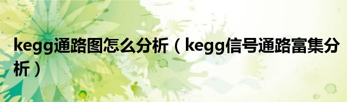 kegg通路图怎么分析（kegg信号通路富集分析）