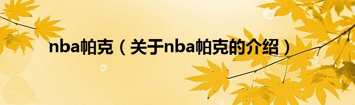 nba帕克（关于nba帕克的介绍）