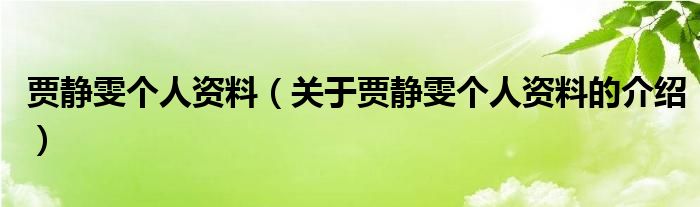 贾静雯个人资料（关于贾静雯个人资料的介绍）