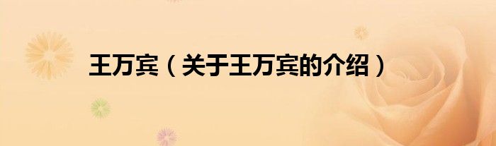 王万宾（关于王万宾的介绍）