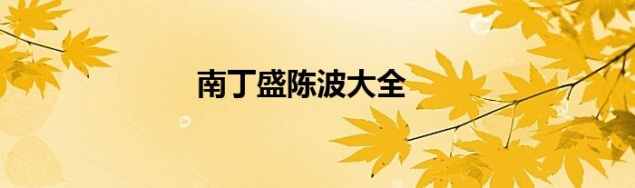 南丁盛陈波大全