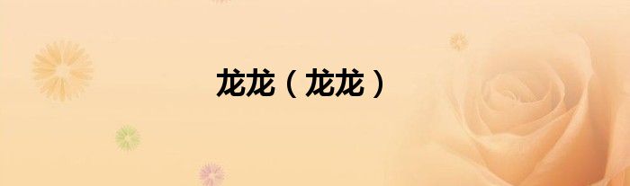 龙龙（龙龙）