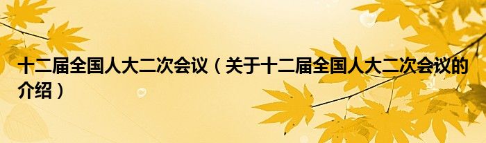 十二届全国人大二次会议（关于十二届全国人大二次会议的介绍）