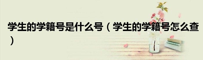 学生的学籍号是什么号（学生的学籍号怎么查）