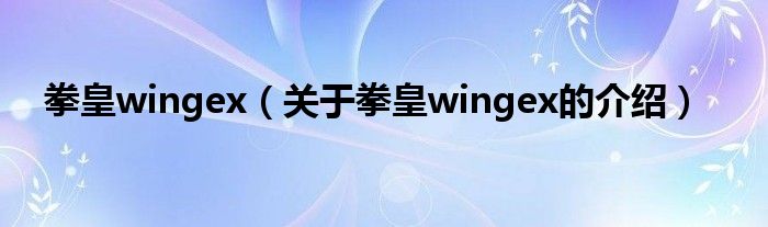 拳皇wingex（关于拳皇wingex的介绍）