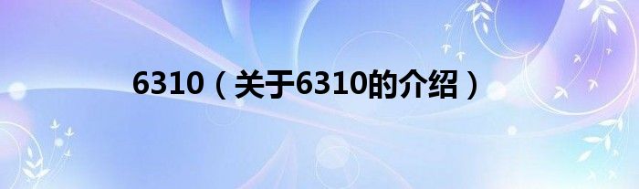 6310（关于6310的介绍）