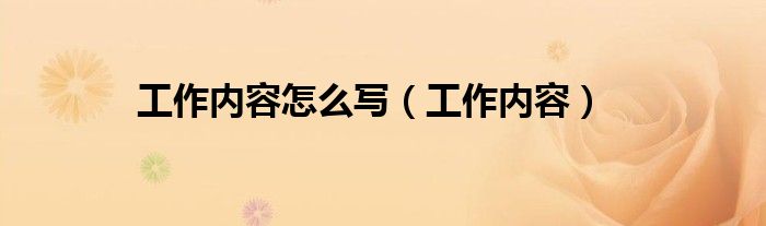 工作内容怎么写（工作内容）