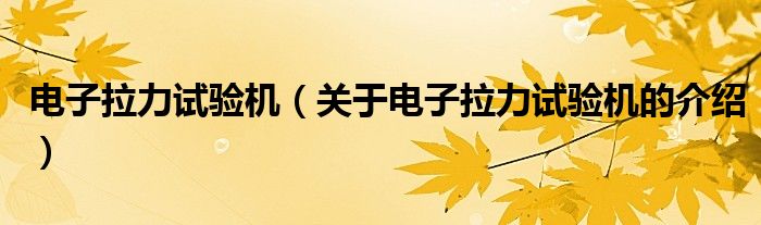 电子拉力试验机（关于电子拉力试验机的介绍）