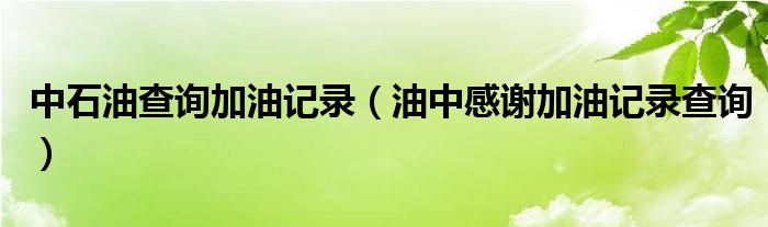 中石油查询加油记录（油中感谢加油记录查询）