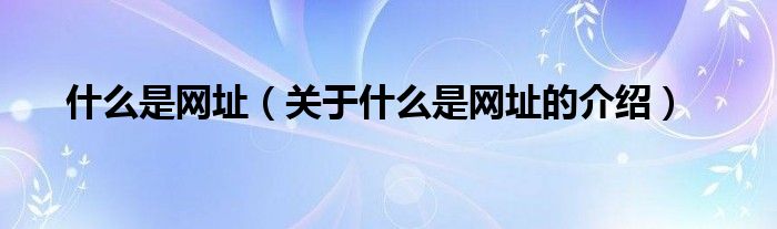 什么是网址（关于什么是网址的介绍）