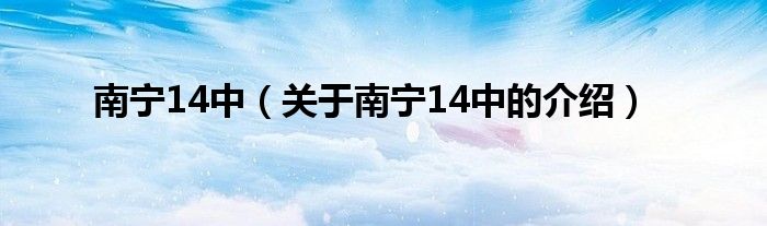 南宁14中（关于南宁14中的介绍）