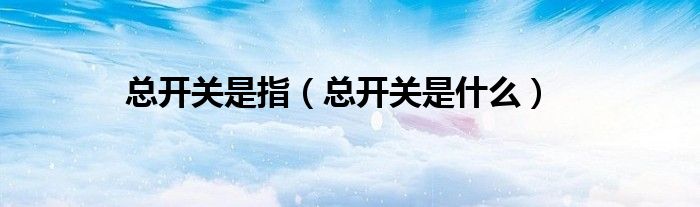总开关是指（总开关是什么）