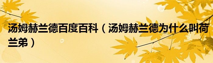 汤姆赫兰德百度百科（汤姆赫兰德为什么叫荷兰弟）