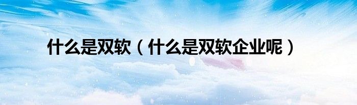 什么是双软（什么是双软企业呢）