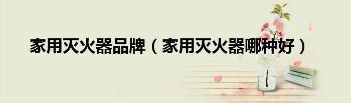 家用灭火器品牌（家用灭火器哪种好）