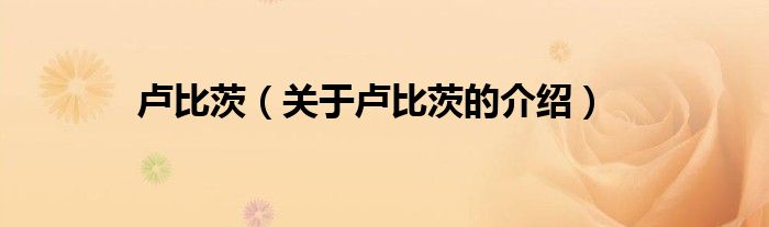卢比茨（关于卢比茨的介绍）