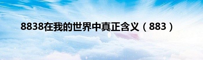 8838在我的世界中真正含义（883）