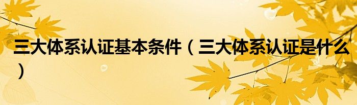 三大体系认证基本条件（三大体系认证是什么）