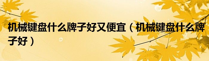 机械键盘什么牌子好又便宜（机械键盘什么牌子好）