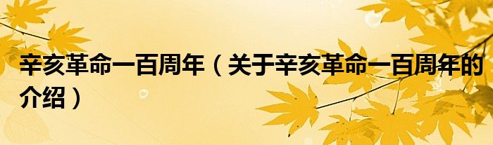 辛亥革命一百周年（关于辛亥革命一百周年的介绍）