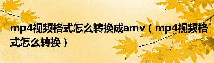 mp4视频格式怎么转换成amv（mp4视频格式怎么转换）