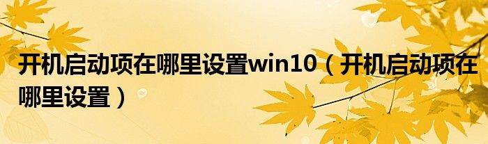 开机启动项在哪里设置win10（开机启动项在哪里设置）