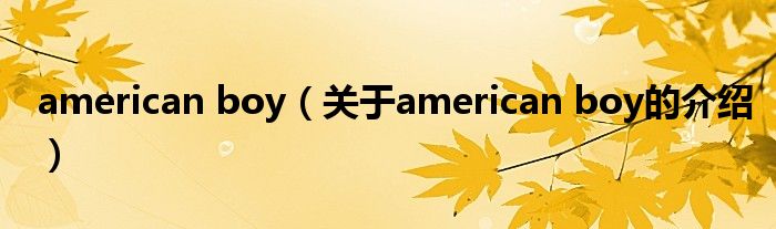 american boy（关于american boy的介绍）