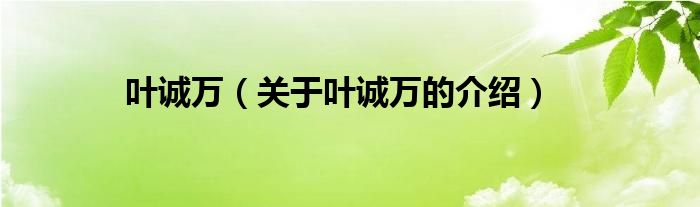 叶诚万（关于叶诚万的介绍）