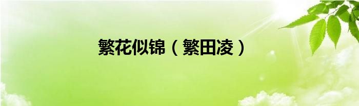 繁花似锦（繁田凌）